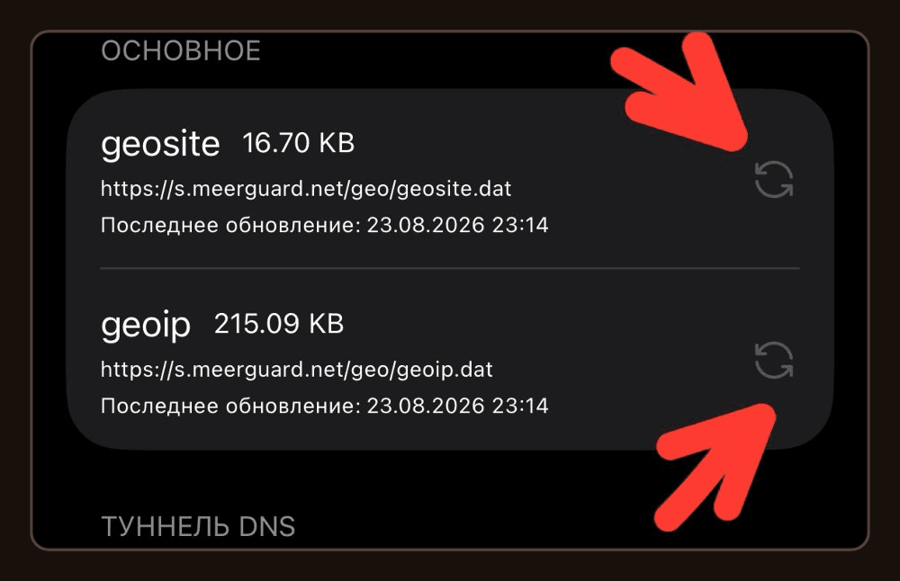 Размер и дата файлов geosite и geoip в профиле MeerGuard