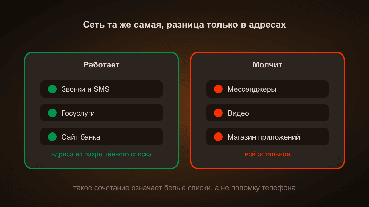 Схема: слева список того, что продолжает работать — звонки и SMS, Госуслуги, сайт банка, это адреса из разрешённого списка. Справа то, что молчит — мессенджеры, видео, магазин приложений. Сеть при этом одна и та же